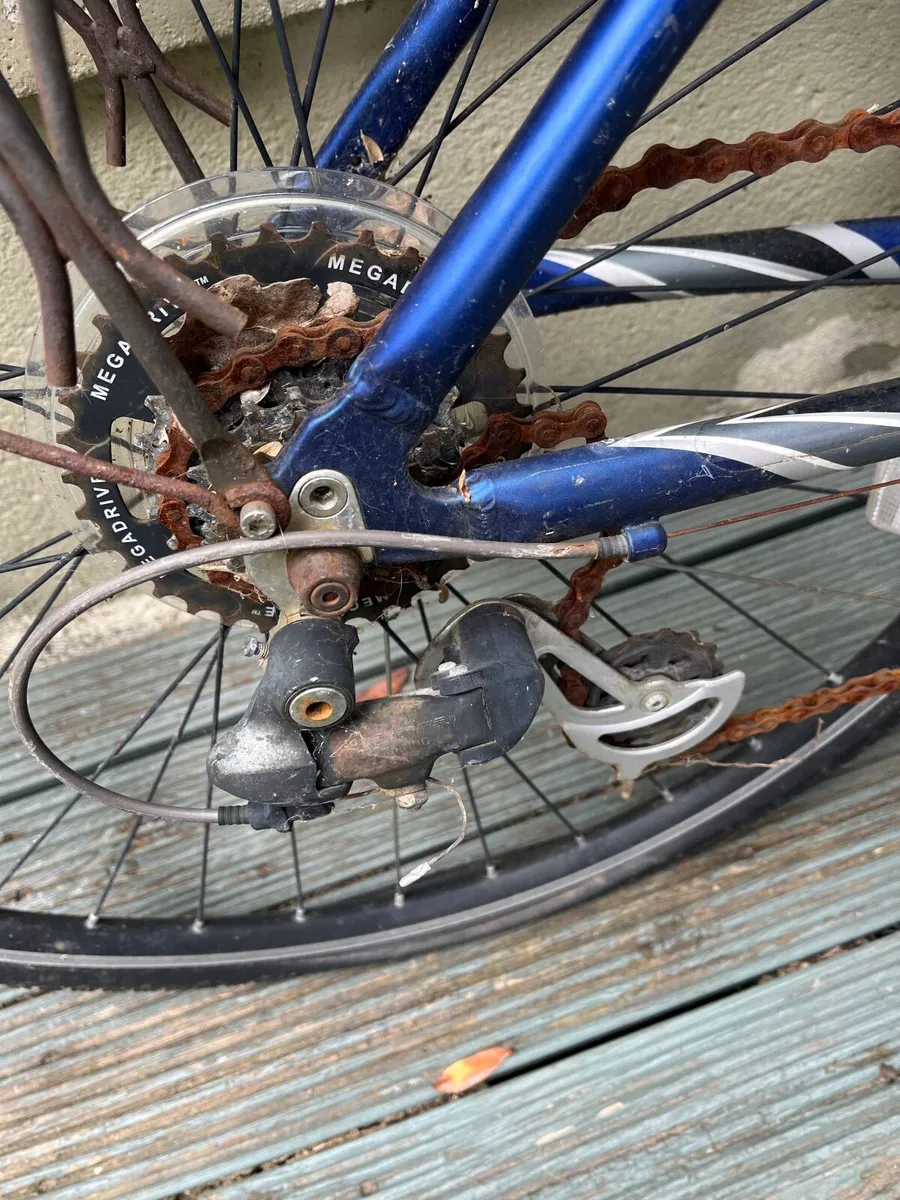 Ladies hybrid road/Mountain bike - Image 2