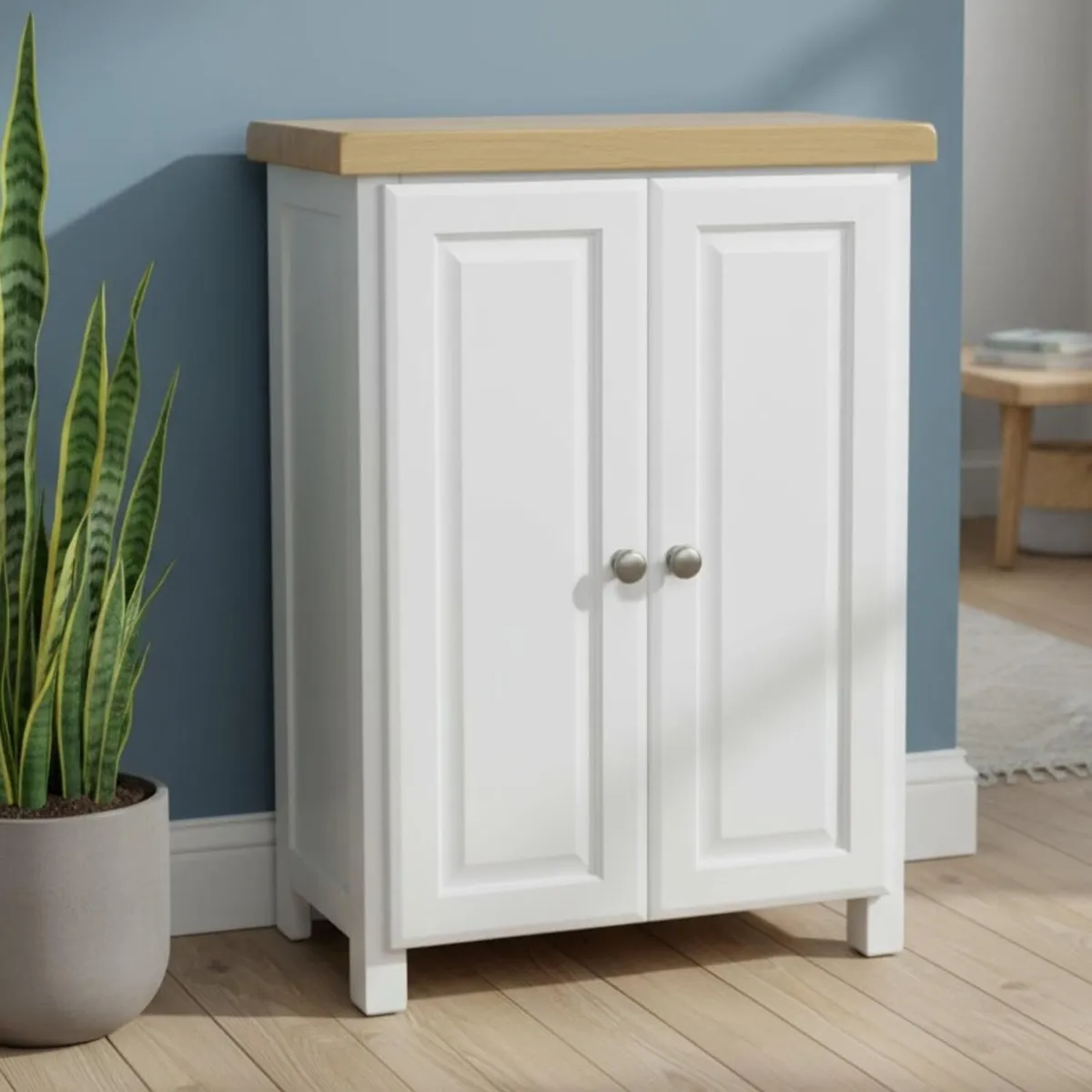 Shoe Storage Cabinet Painted Ready-Assembled - Image 3