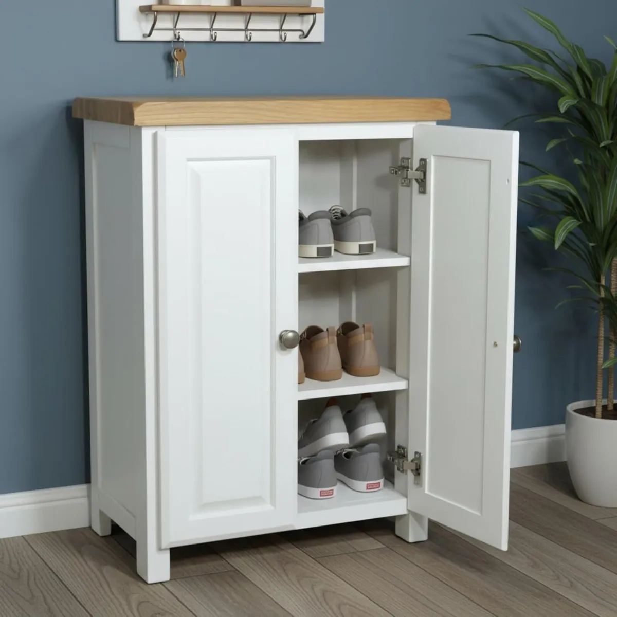 Shoe Storage Cabinet Painted Ready-Assembled - Image 1