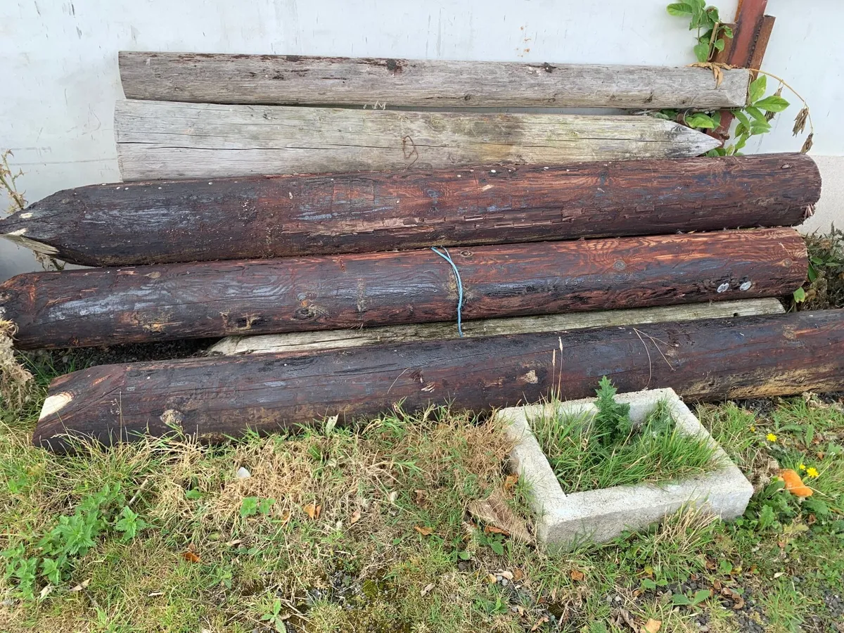 Fencing posts - Image 2