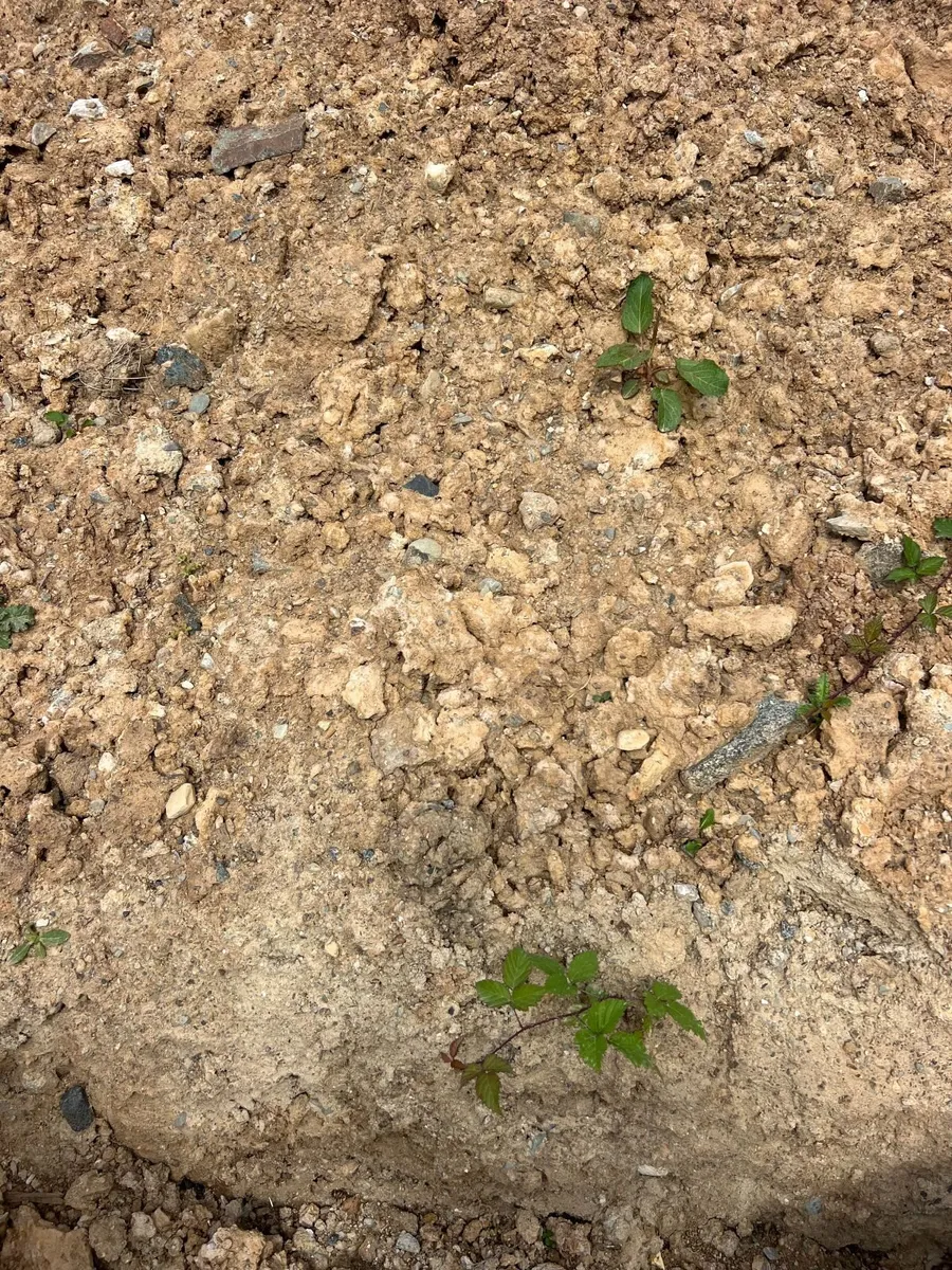 Soil - Image 3