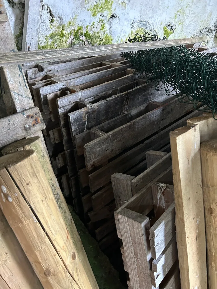 Pallets for sale - Image 1