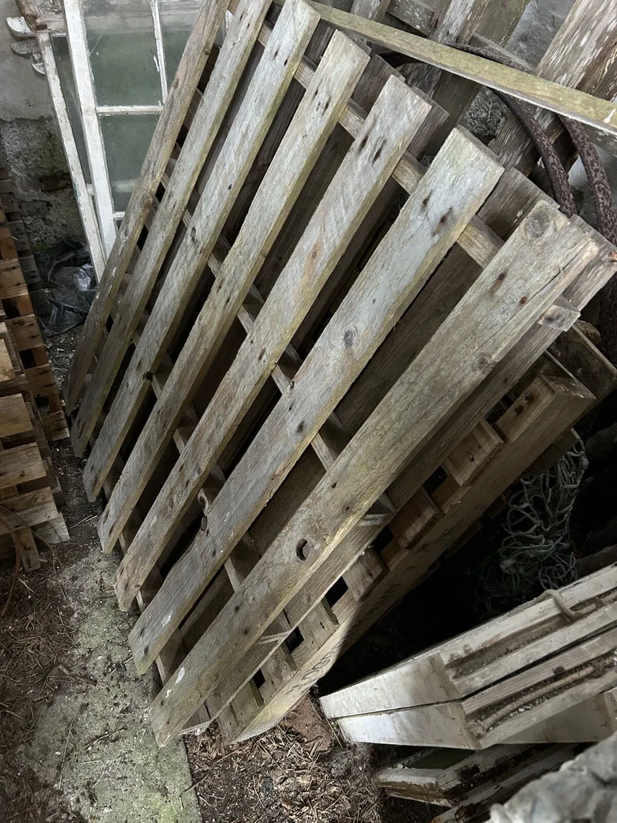 Pallets for sale - Image 2