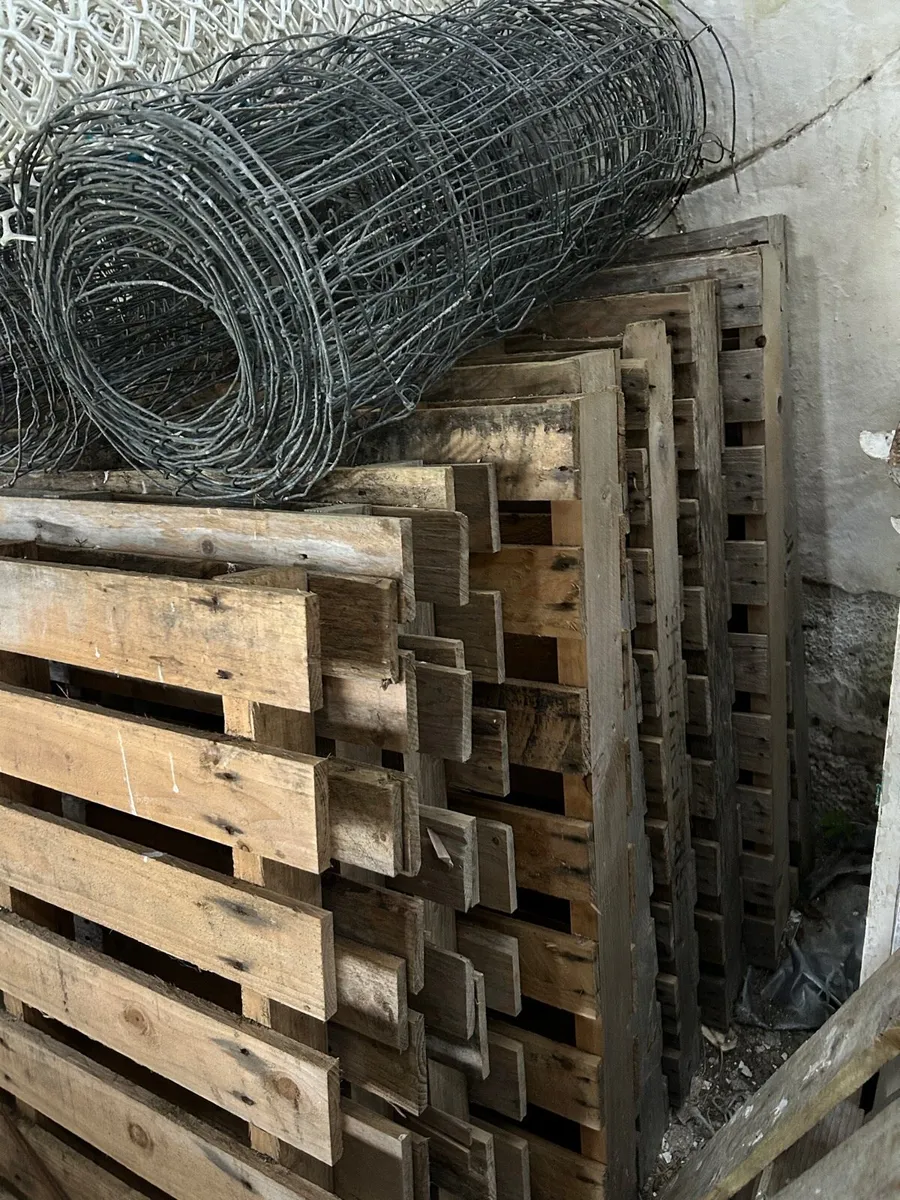 Pallets for sale - Image 4