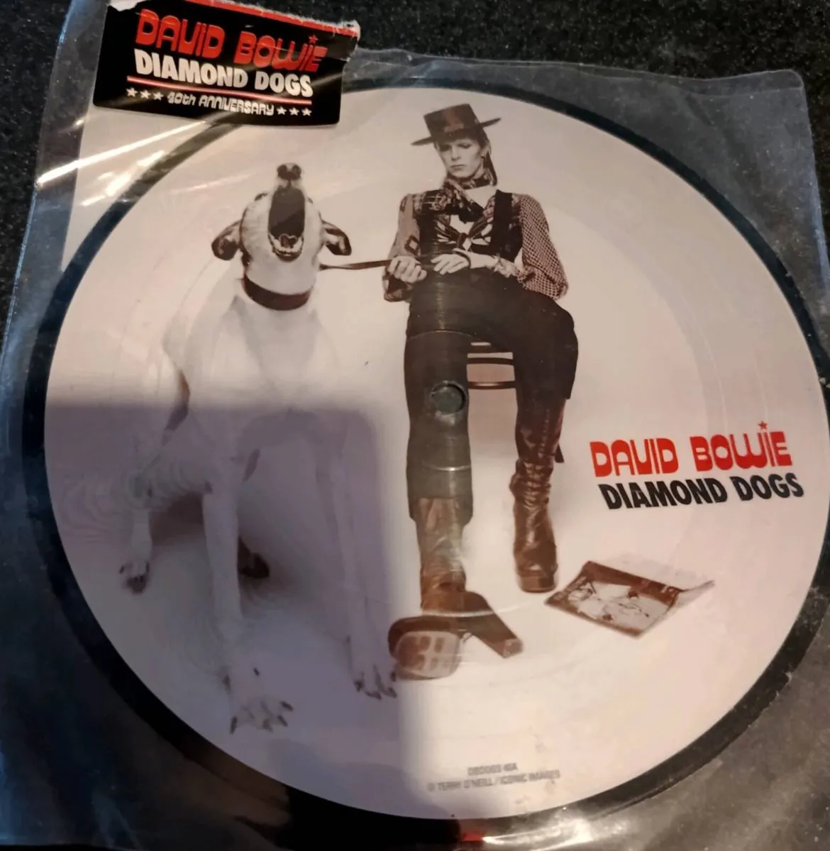 David Bowie Diamond dogs 40th Anniversary Lp - Image 1