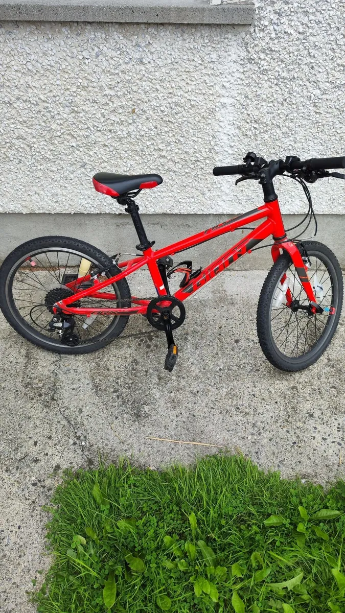 Bike Giant ARX 20