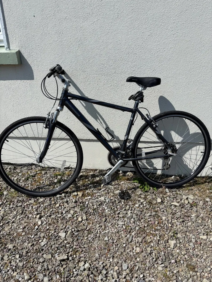 Adult Bicycle
