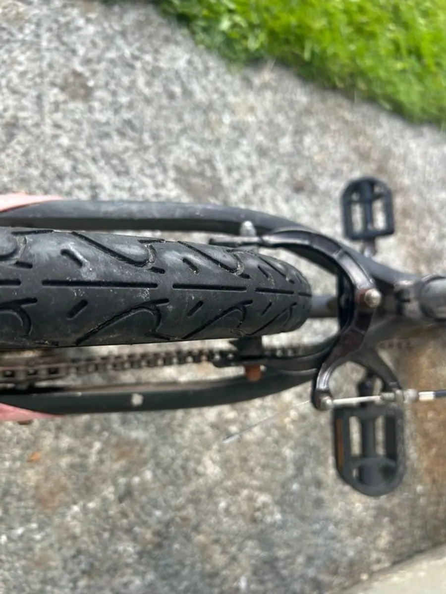 Balance Bike - Image 3