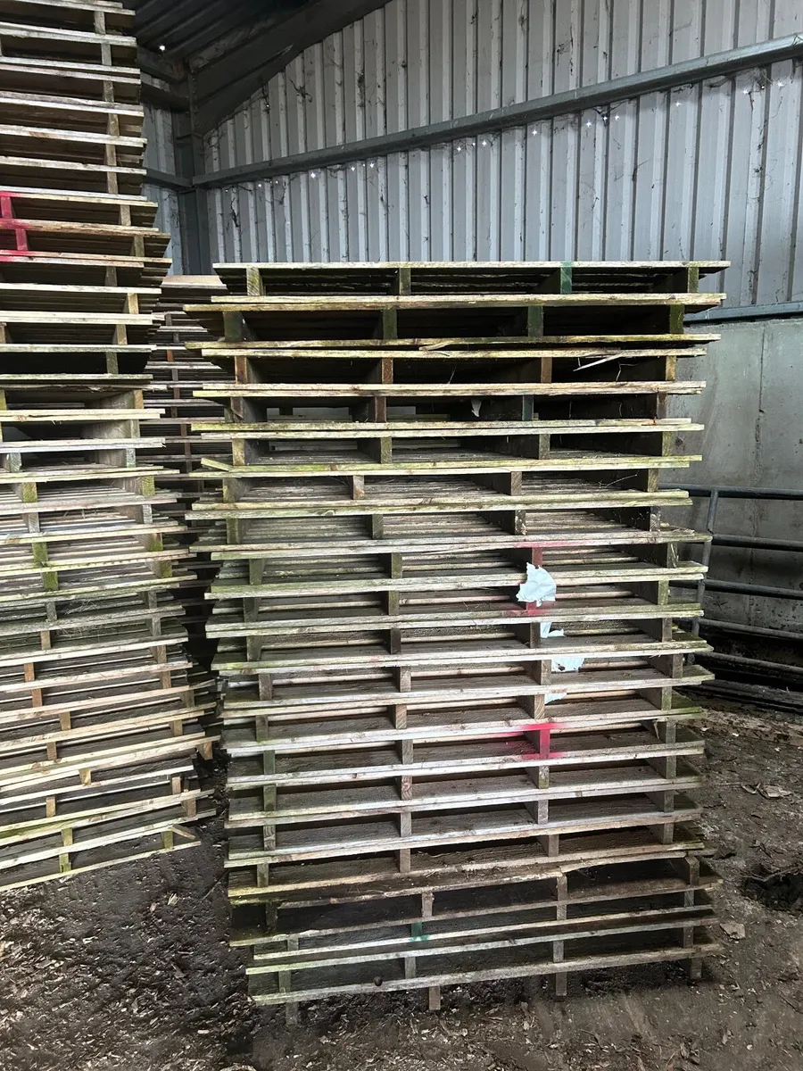 Fertiliser pallets - Image 2