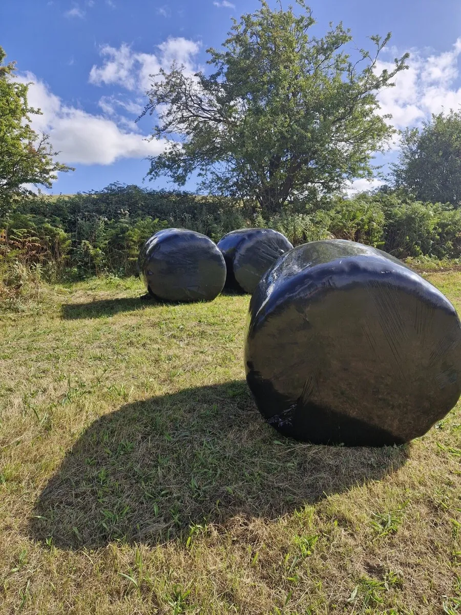 3 Organic Bales