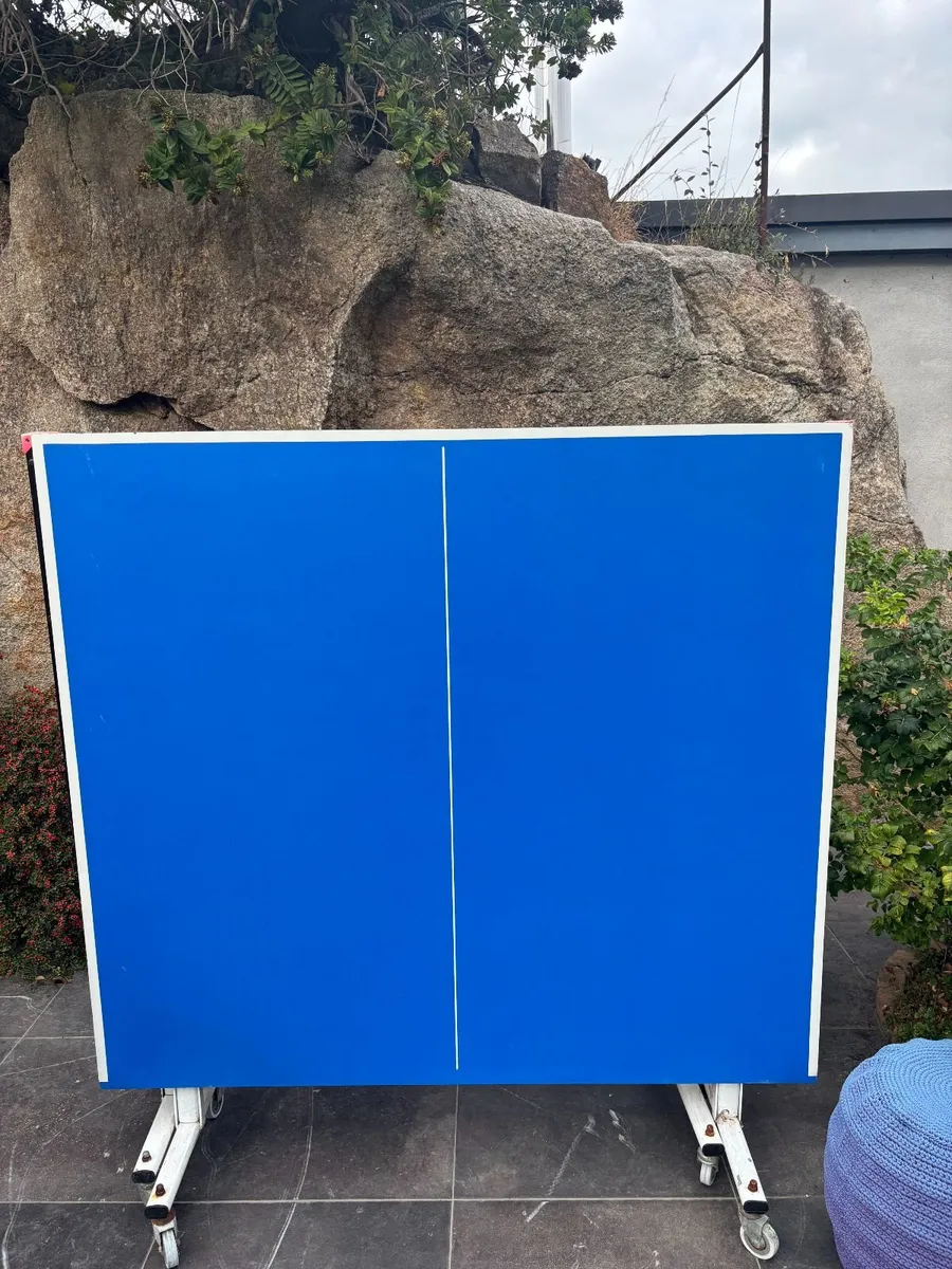 Butterfly Rollaway Outdoor table tennis table - Image 3