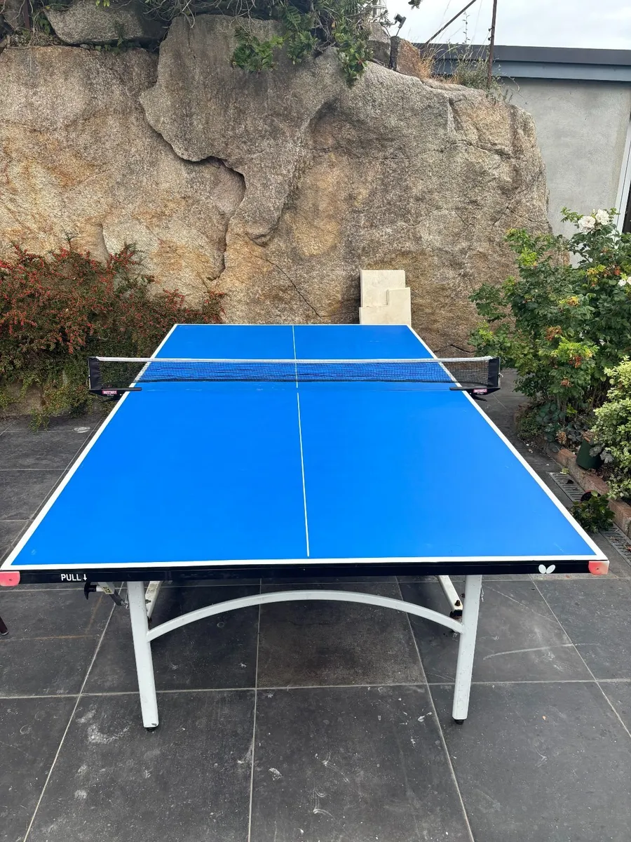 Butterfly Rollaway Outdoor table tennis table - Image 4