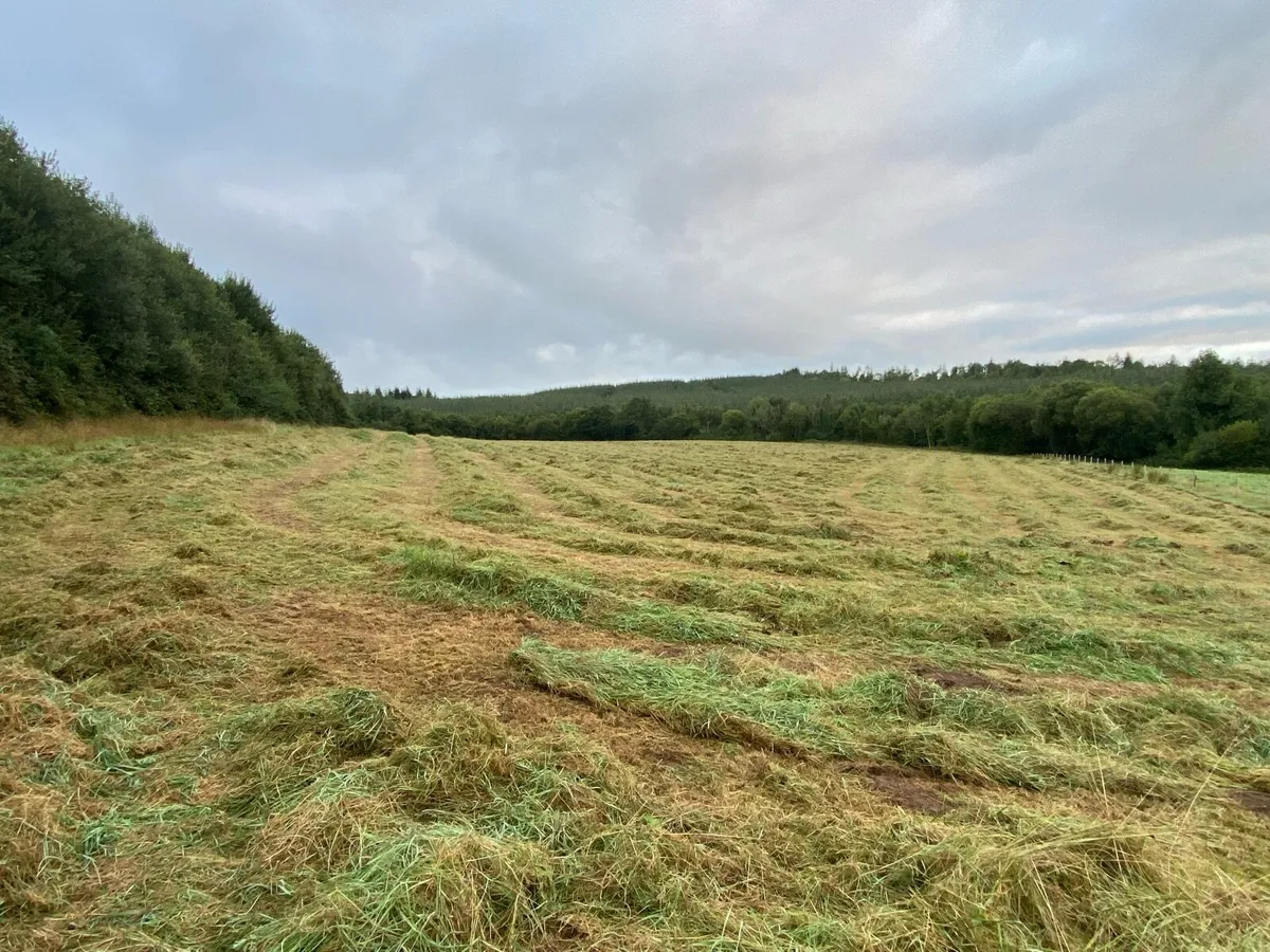 Silage