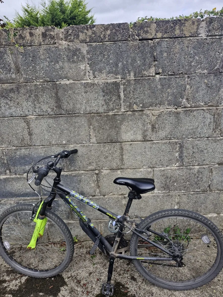 bike - Image 2