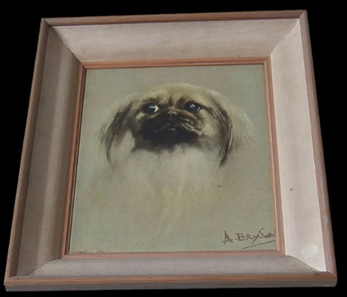 Beautiful Vintage Pekingese Dog Portrait – Signed - Image 3