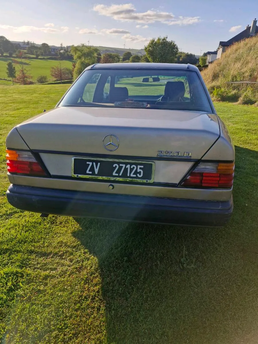 Mercedes E 250 D - Image 3
