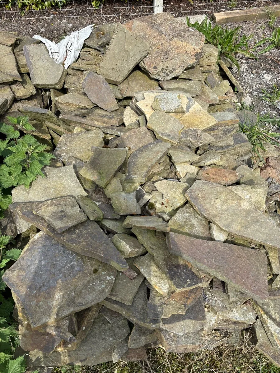 Paving stone - Image 1