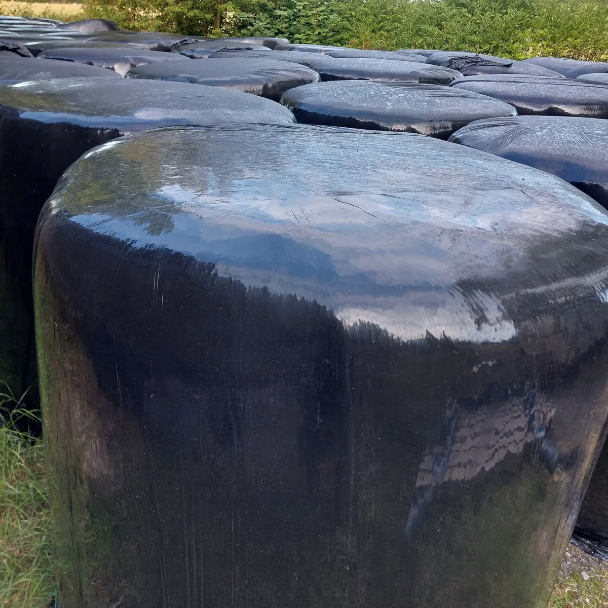 Silage / Haylage For Sale - Image 2
