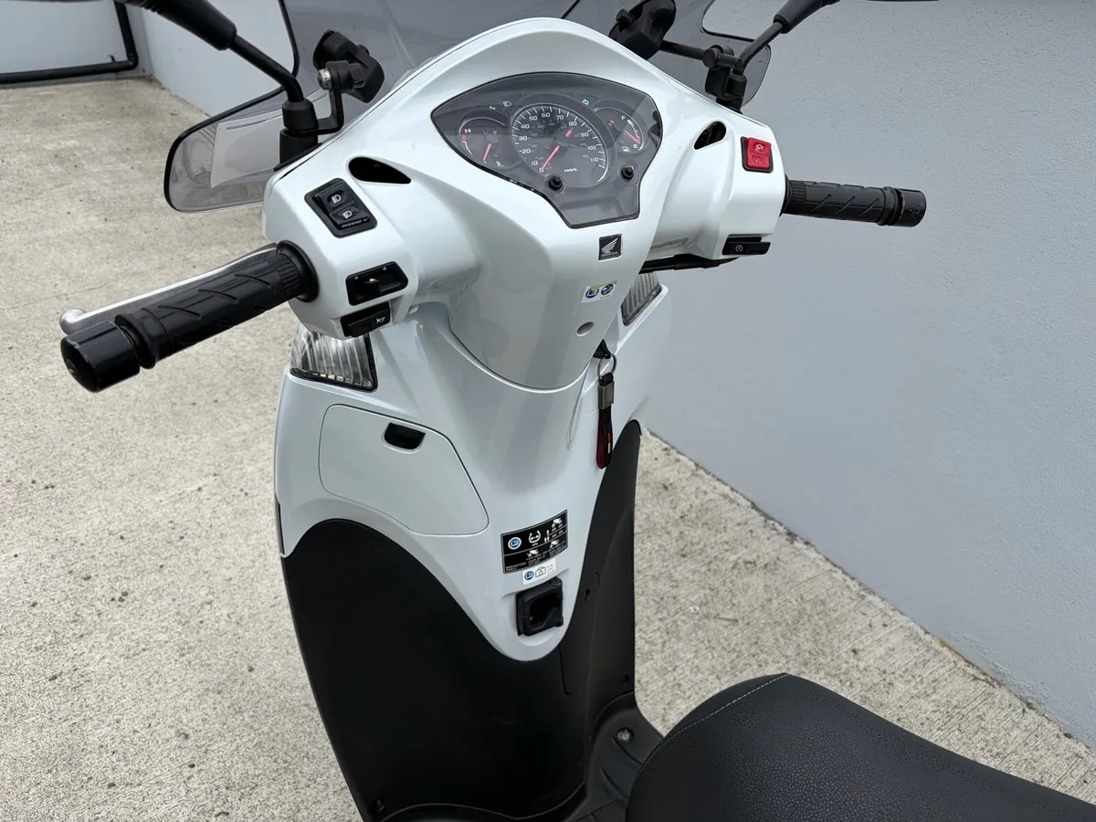 Scooter - Image 4