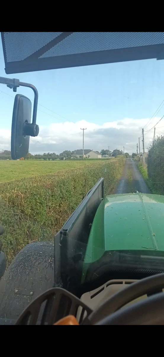 Tree cutting/Tree removal - Image 2