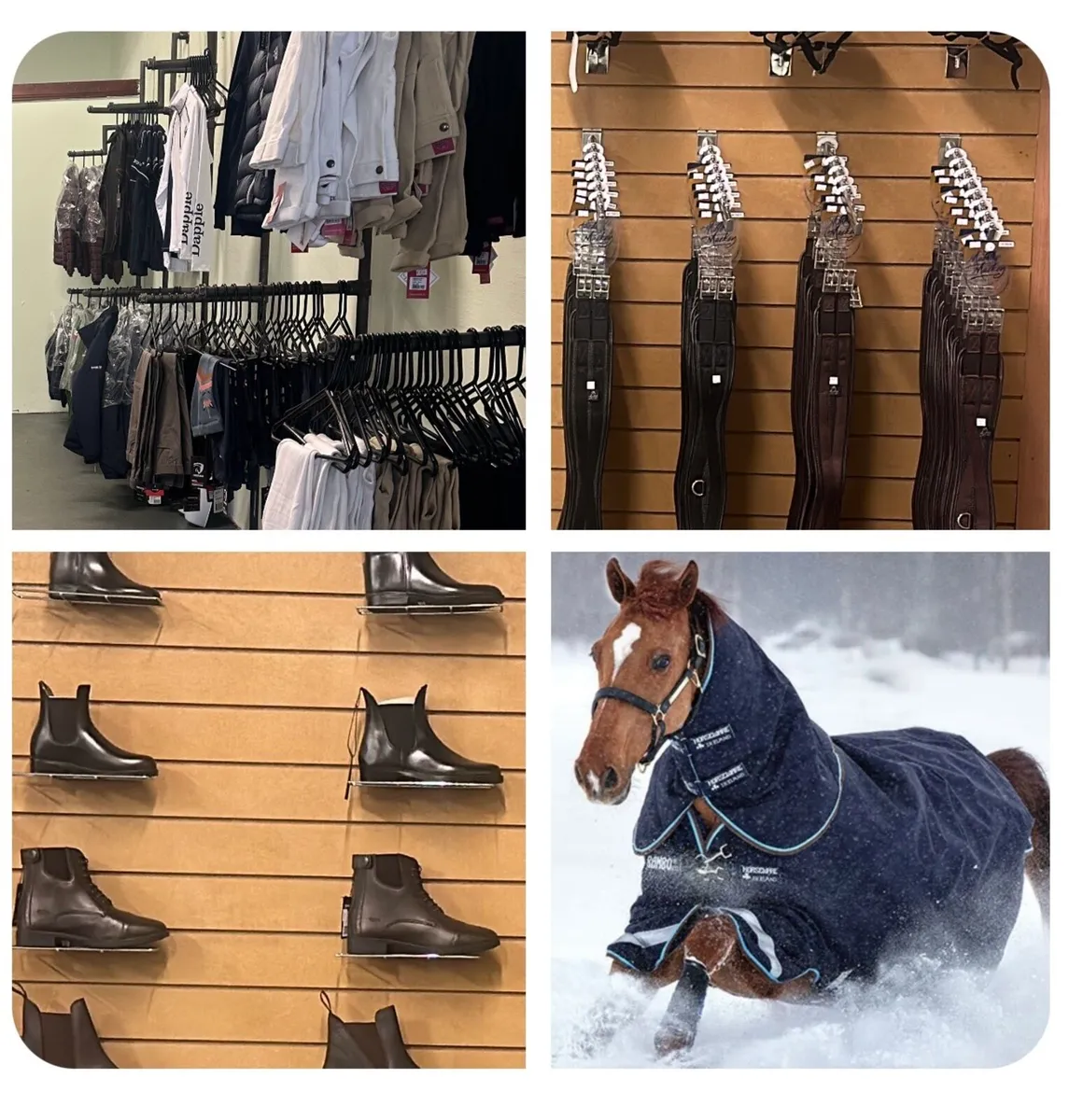 Equestrian Shop Job Lot - Image 1