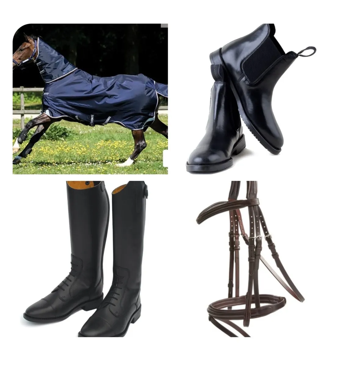 Equestrian Shop Job Lot - Image 2