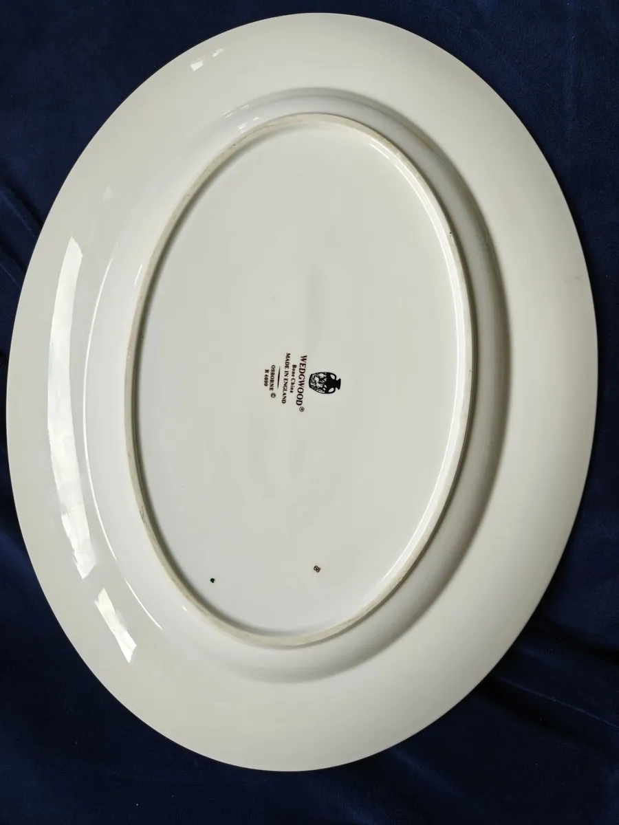 Wedgwood Osborne R4699 Large 14" Oval Plate - Image 2
