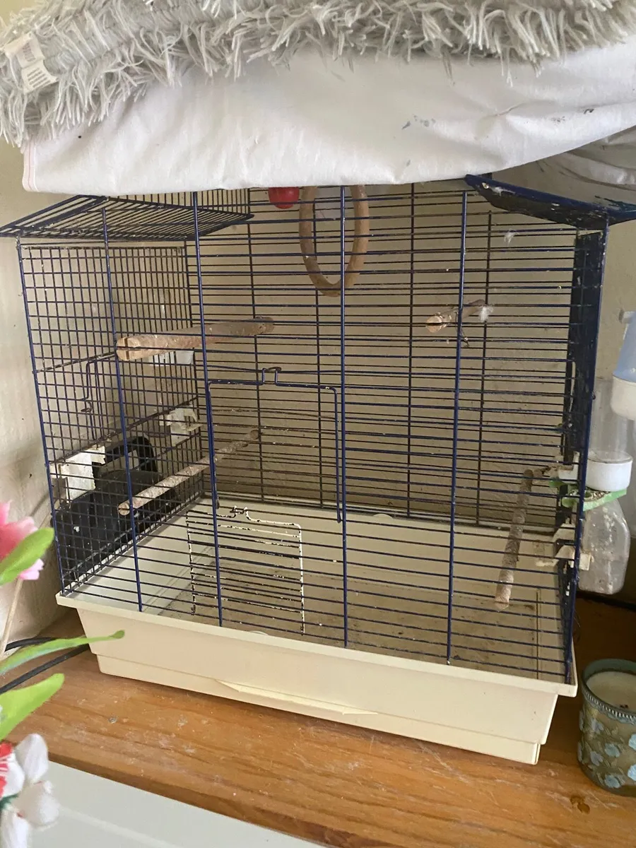 Bird Cages - Image 2