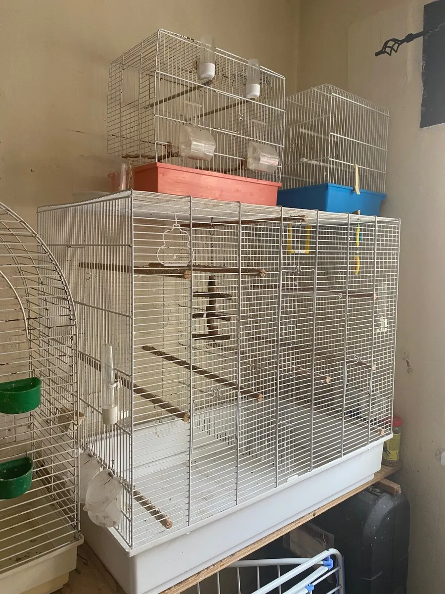 Canary / Budgie bird cages - Image 1