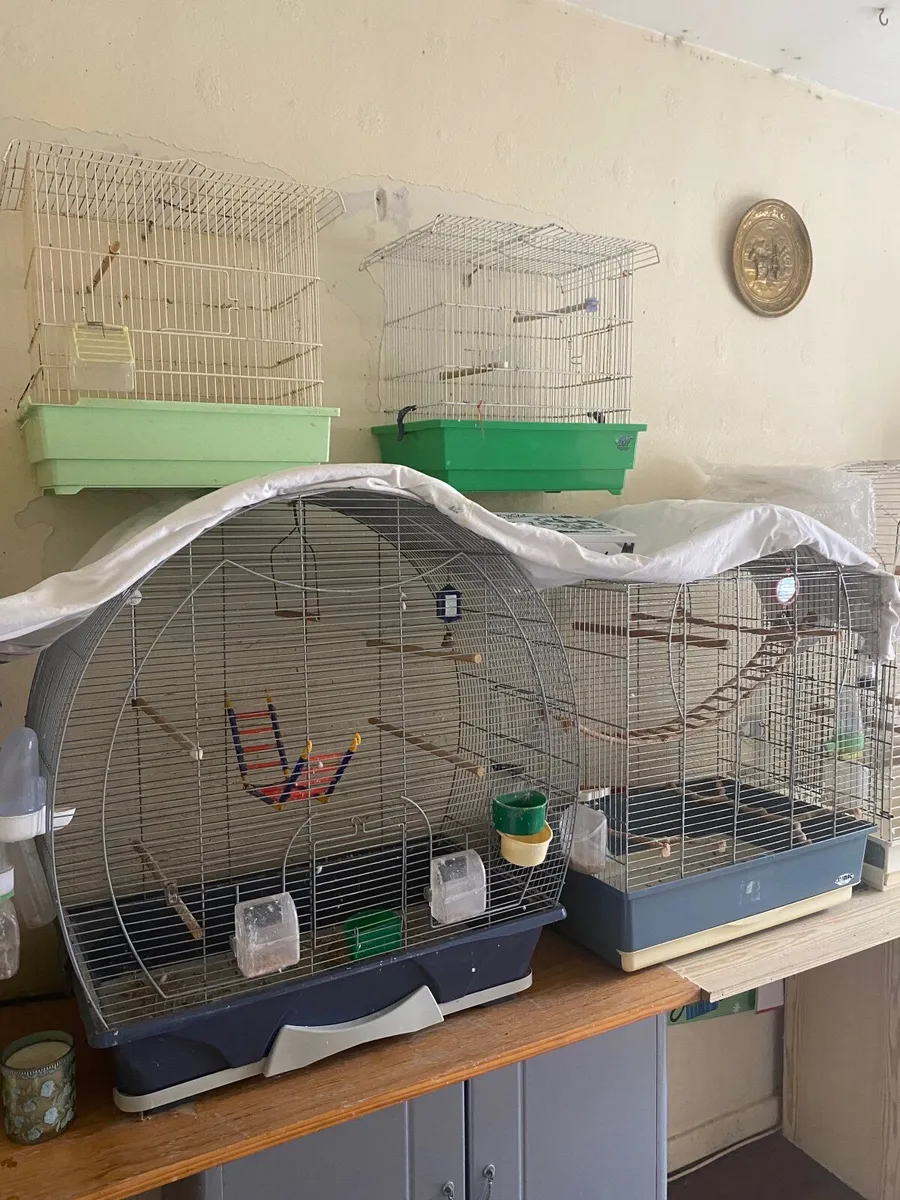 Bird Cages - Image 3