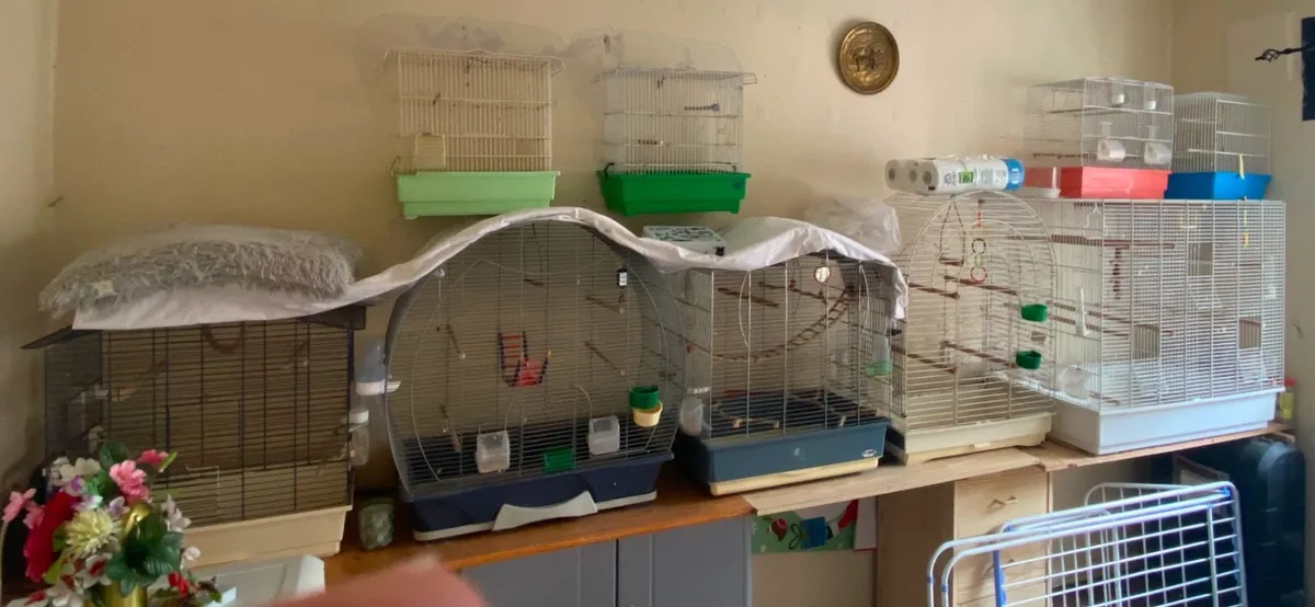 Bird Cages - Image 1