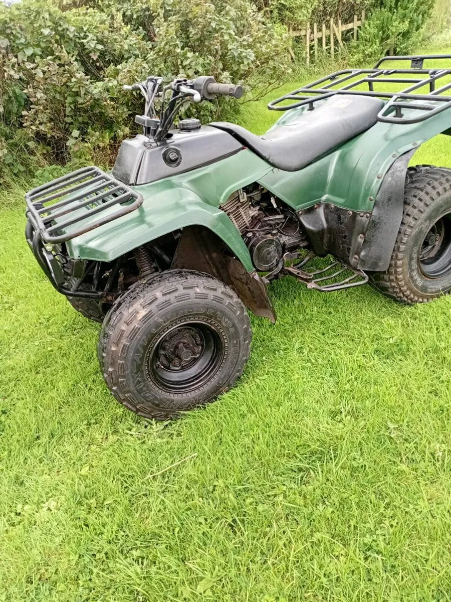 QUADS - Image 4