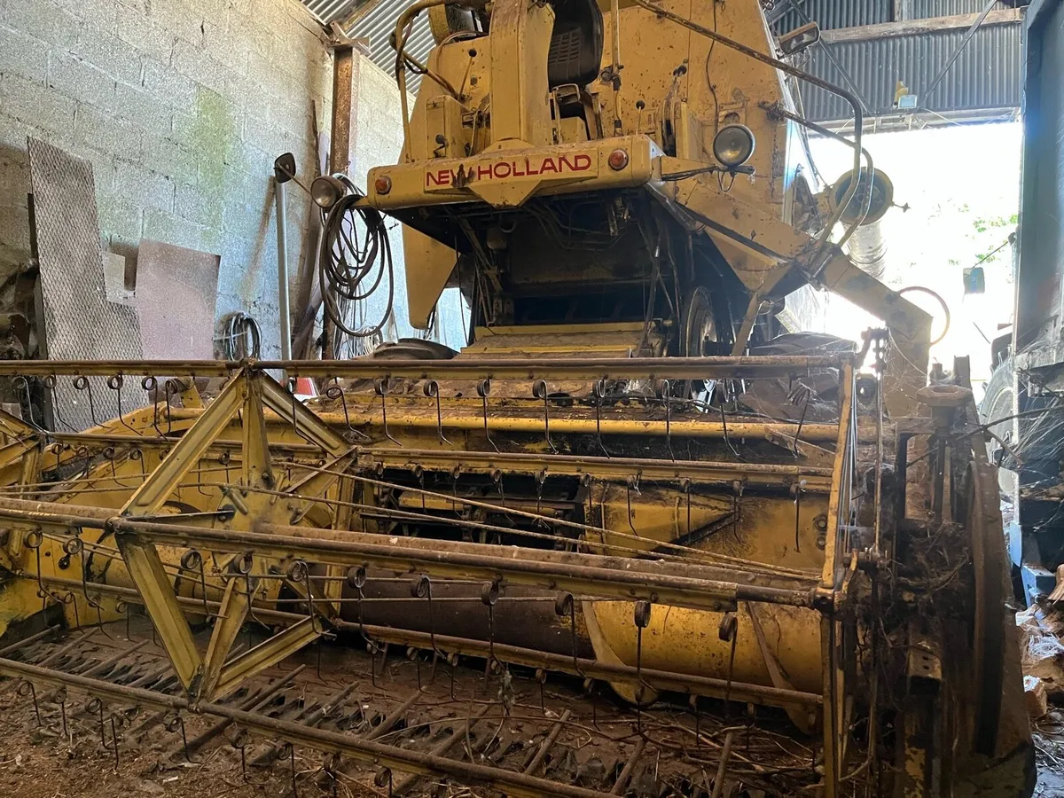 New Holland Clayson M135 - Image 3