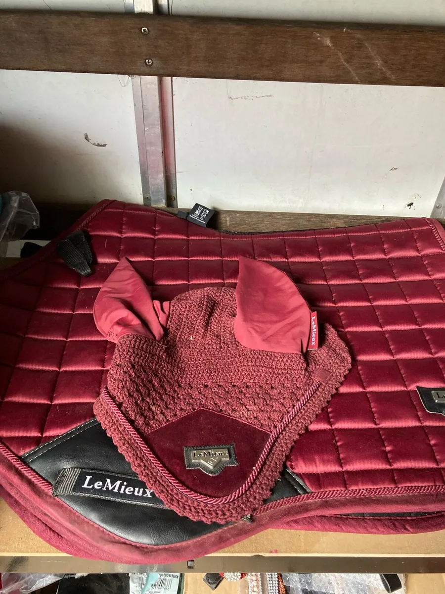 Lemieux sets - Image 1