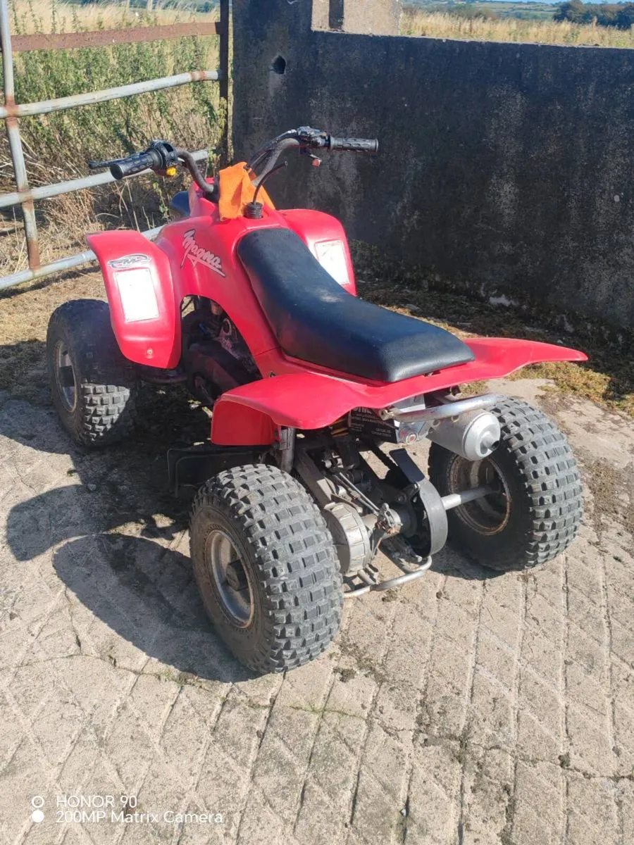 Quad - Image 2