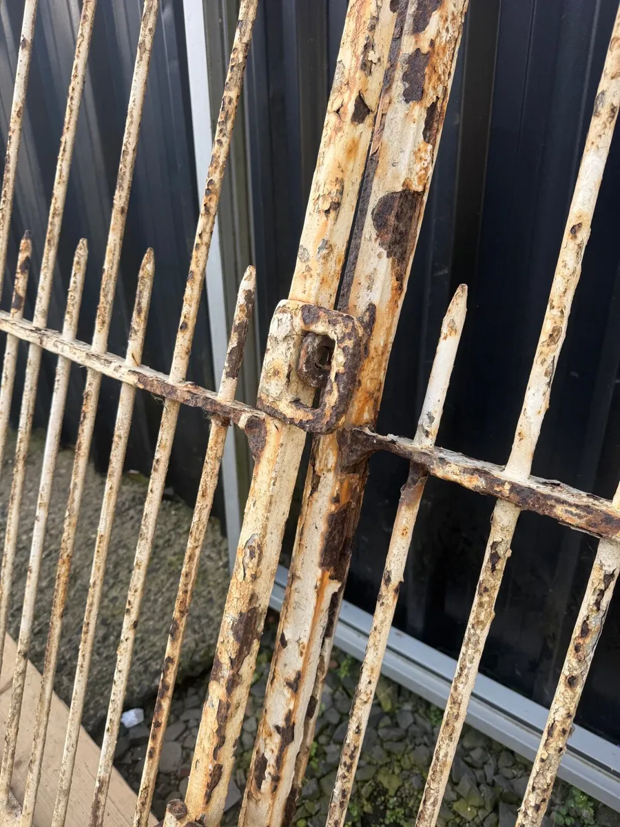 Outstanding loop top pair Victorian entrance gates - Image 3