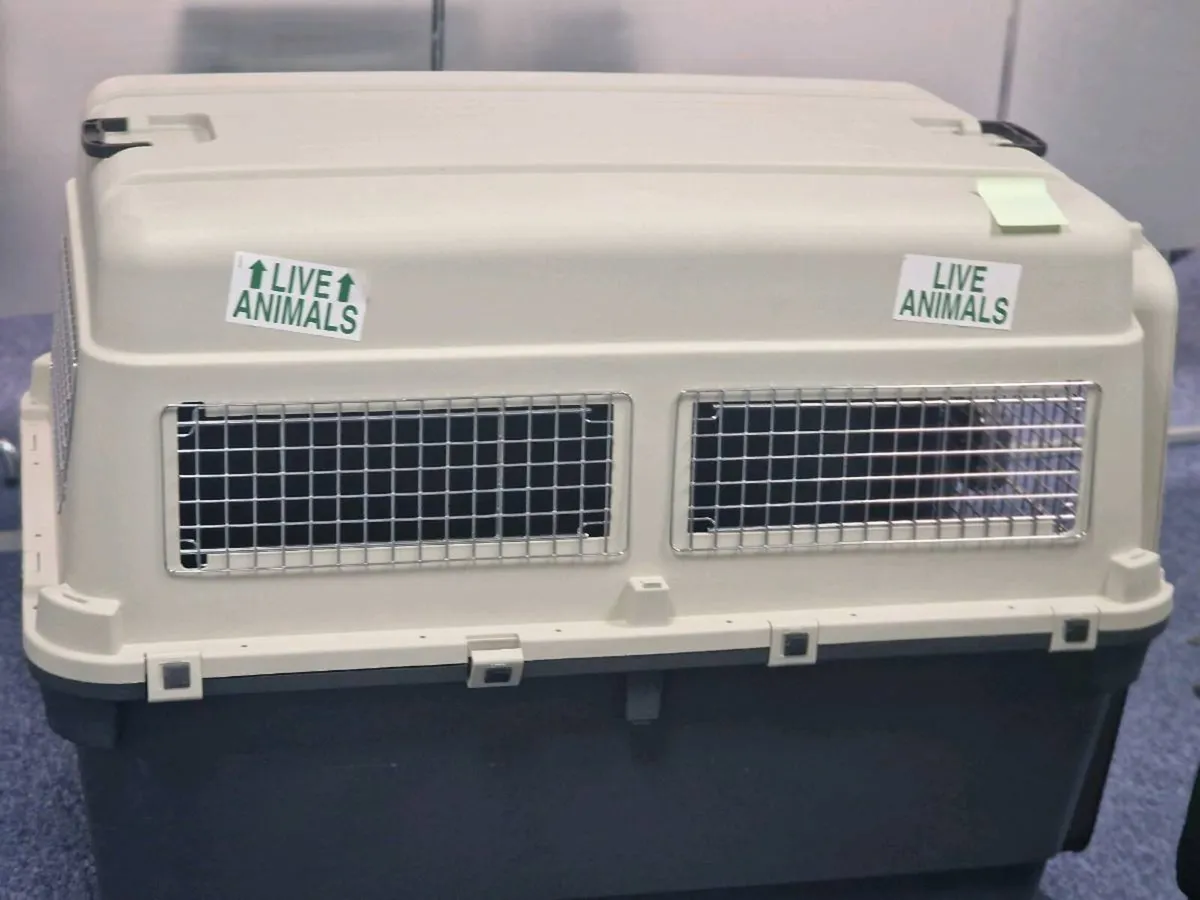 Animal travel cage - Image 1
