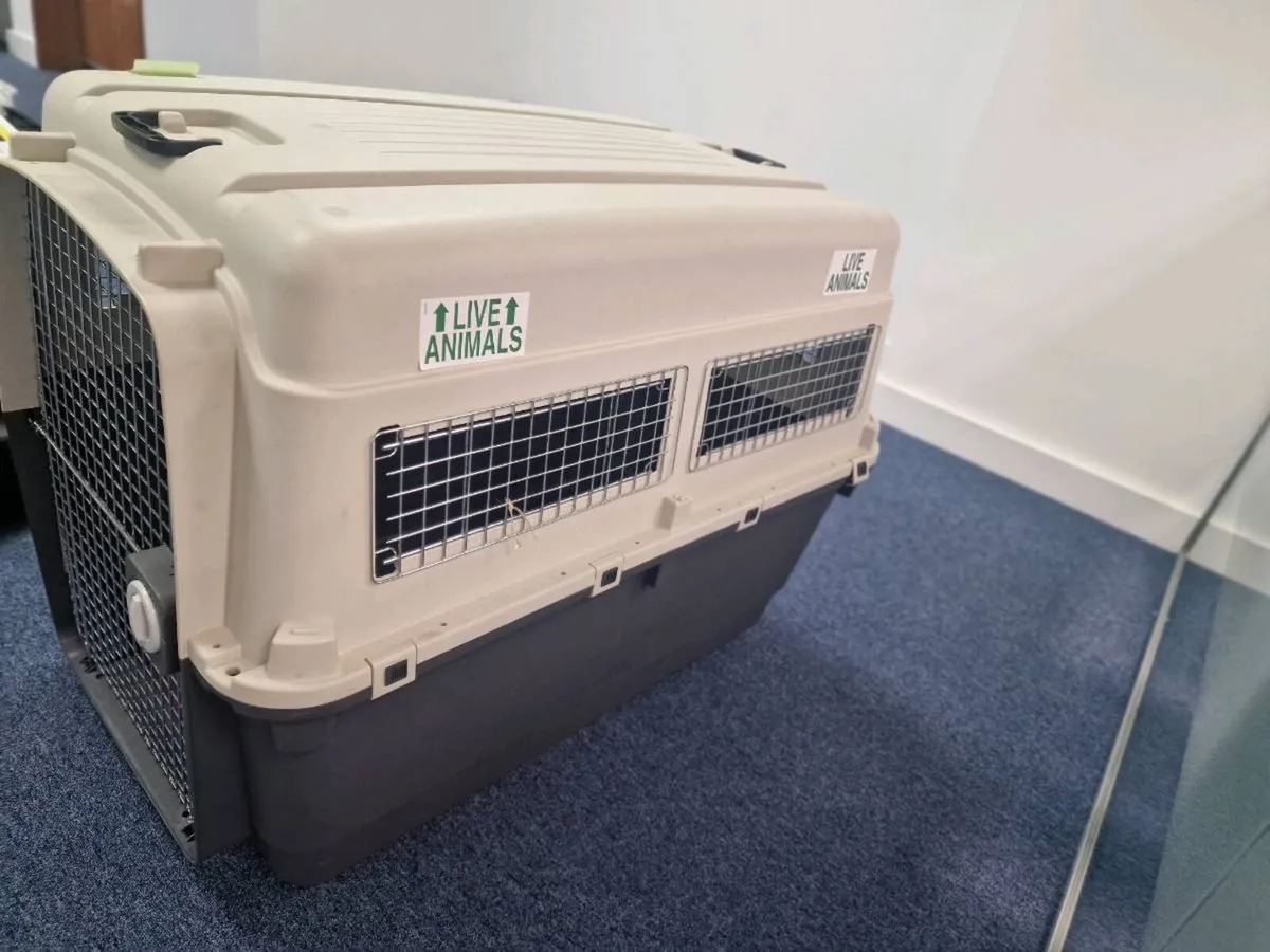 Animal travel cage - Image 2