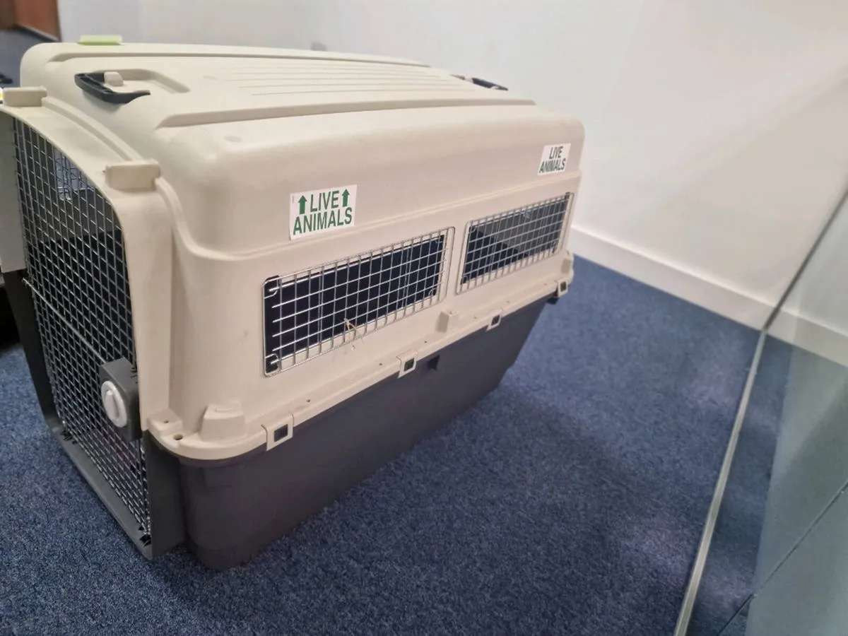 Animal travel cage - Image 3