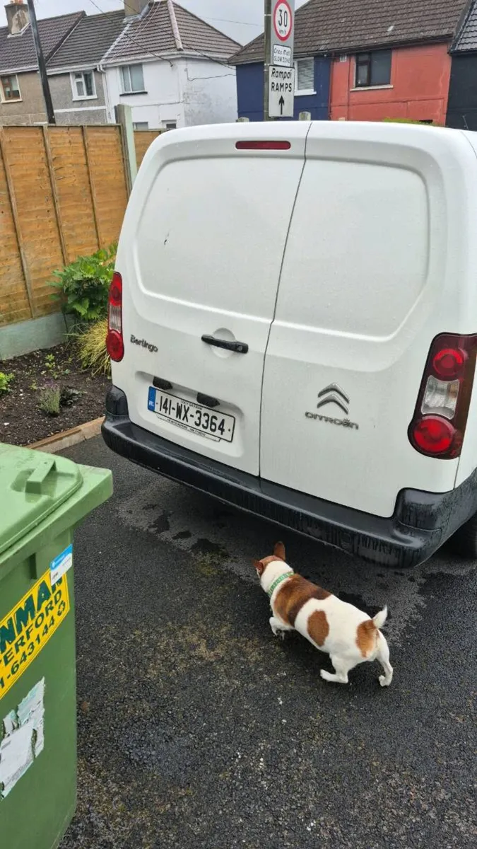 Citroen berlingo crewcab - Image 4