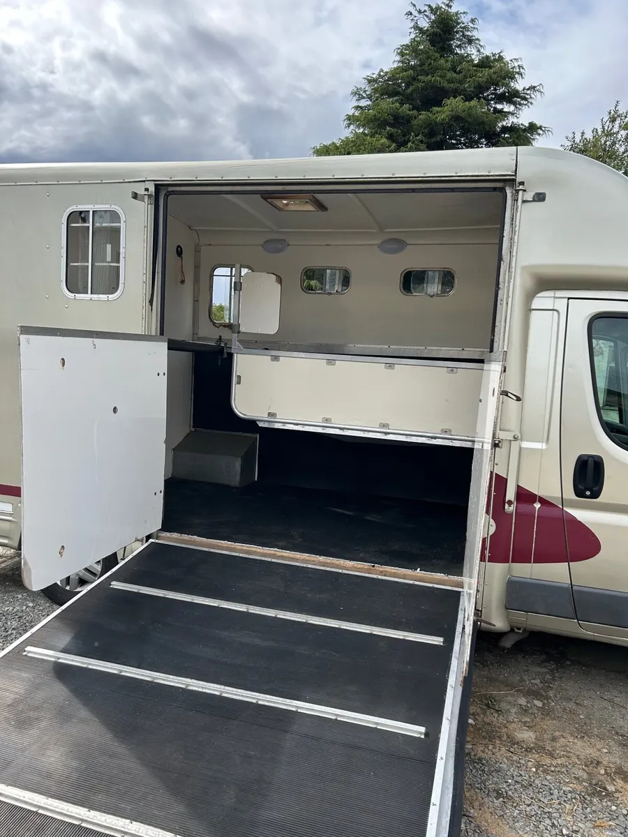 2 Horse  van - Image 2