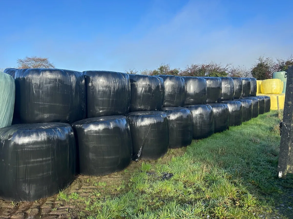 Bales
