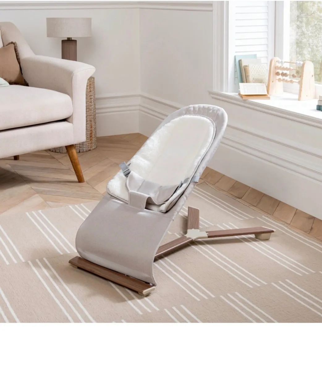 Baby bouncer