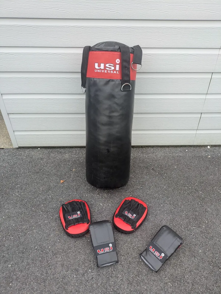 Punchbag, gloves and pads