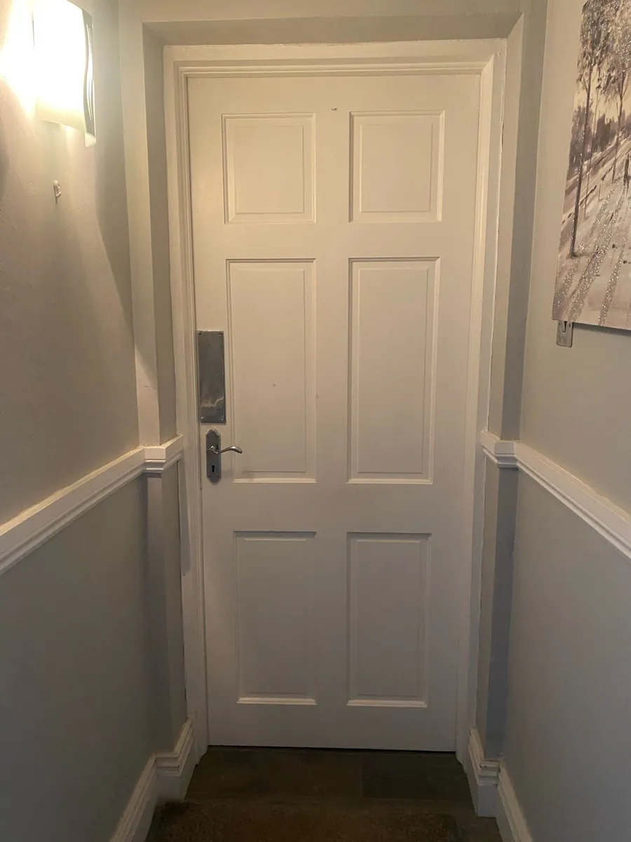 2 doors 80 x 32 one glass - Image 2