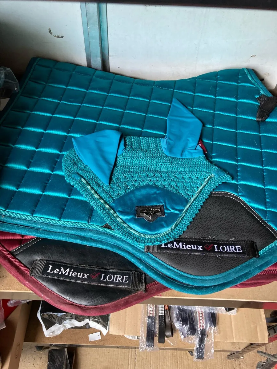 Lemieux sets - Image 2