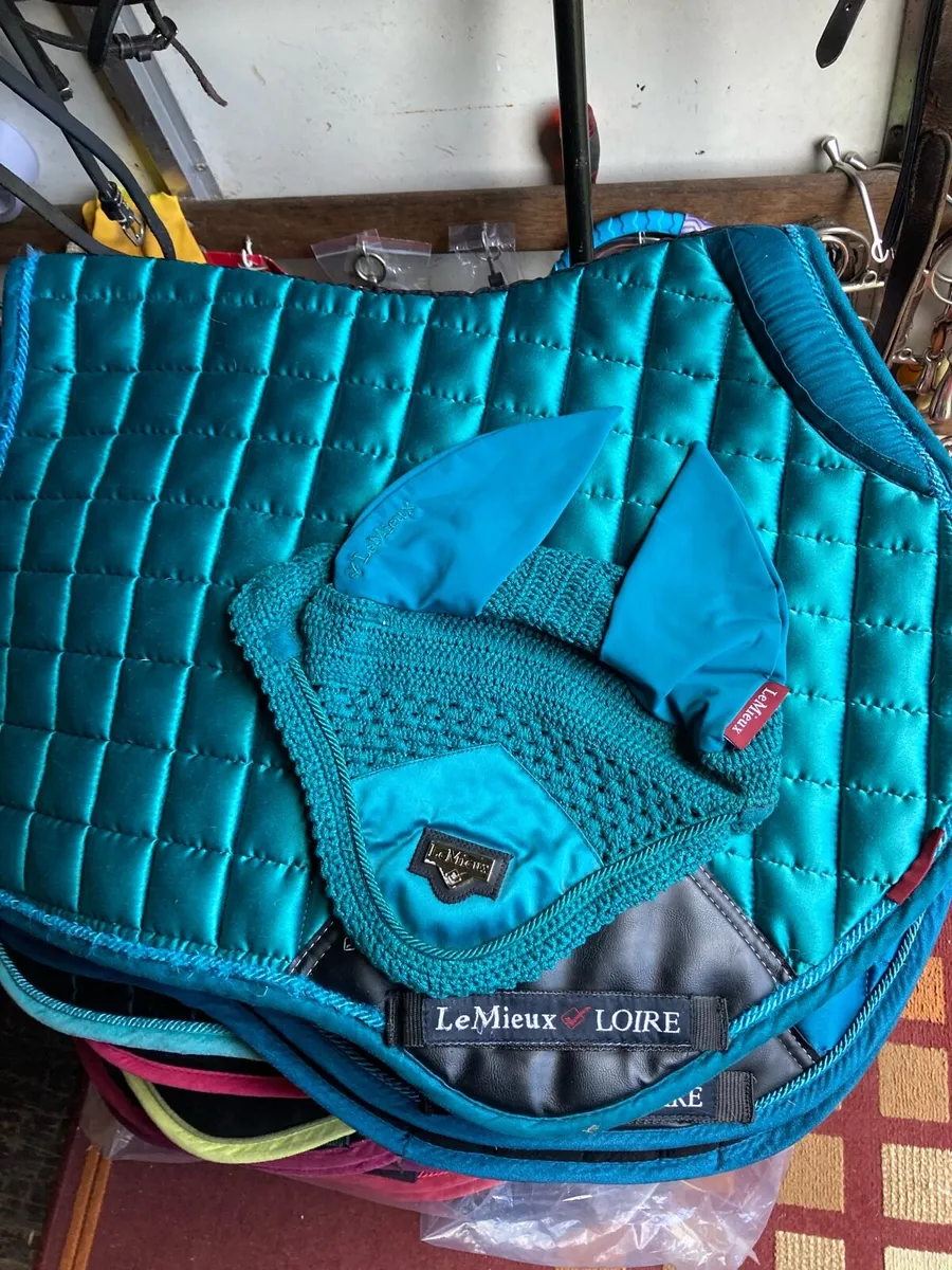 Lemieux sets - Image 4