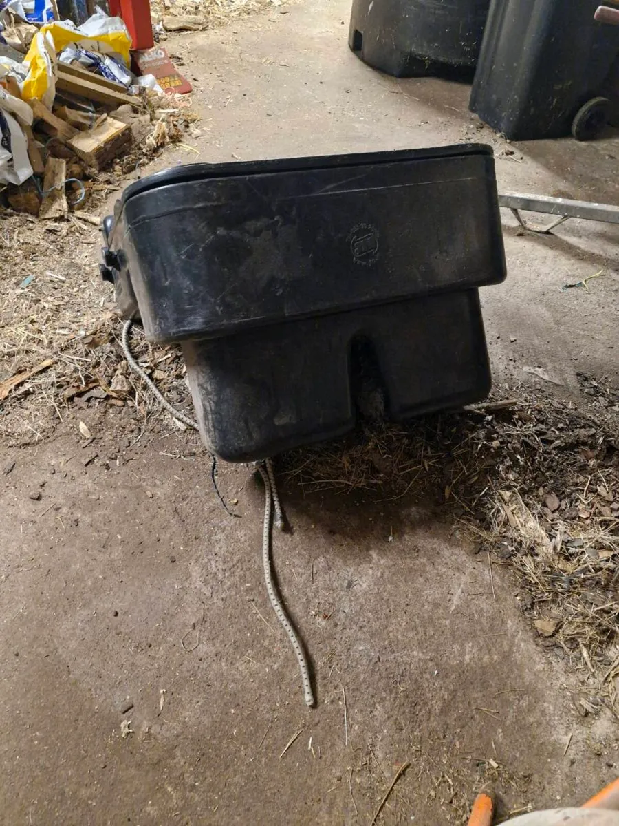 Quads basket - Image 3