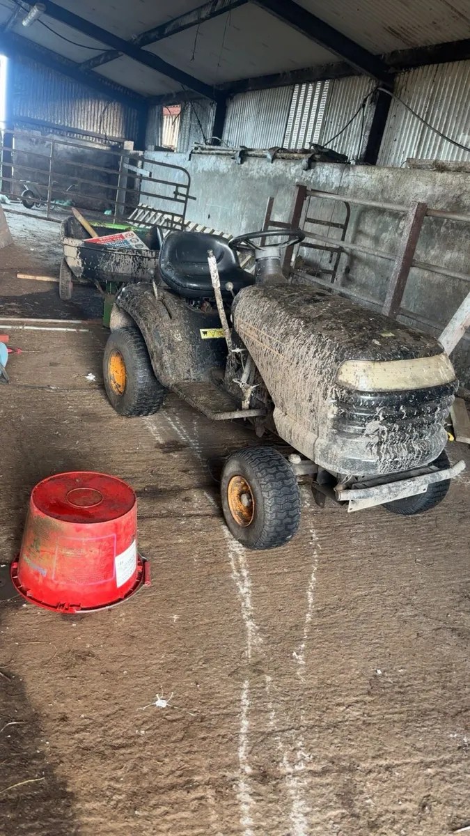 Mucholach lawnmower - Image 2