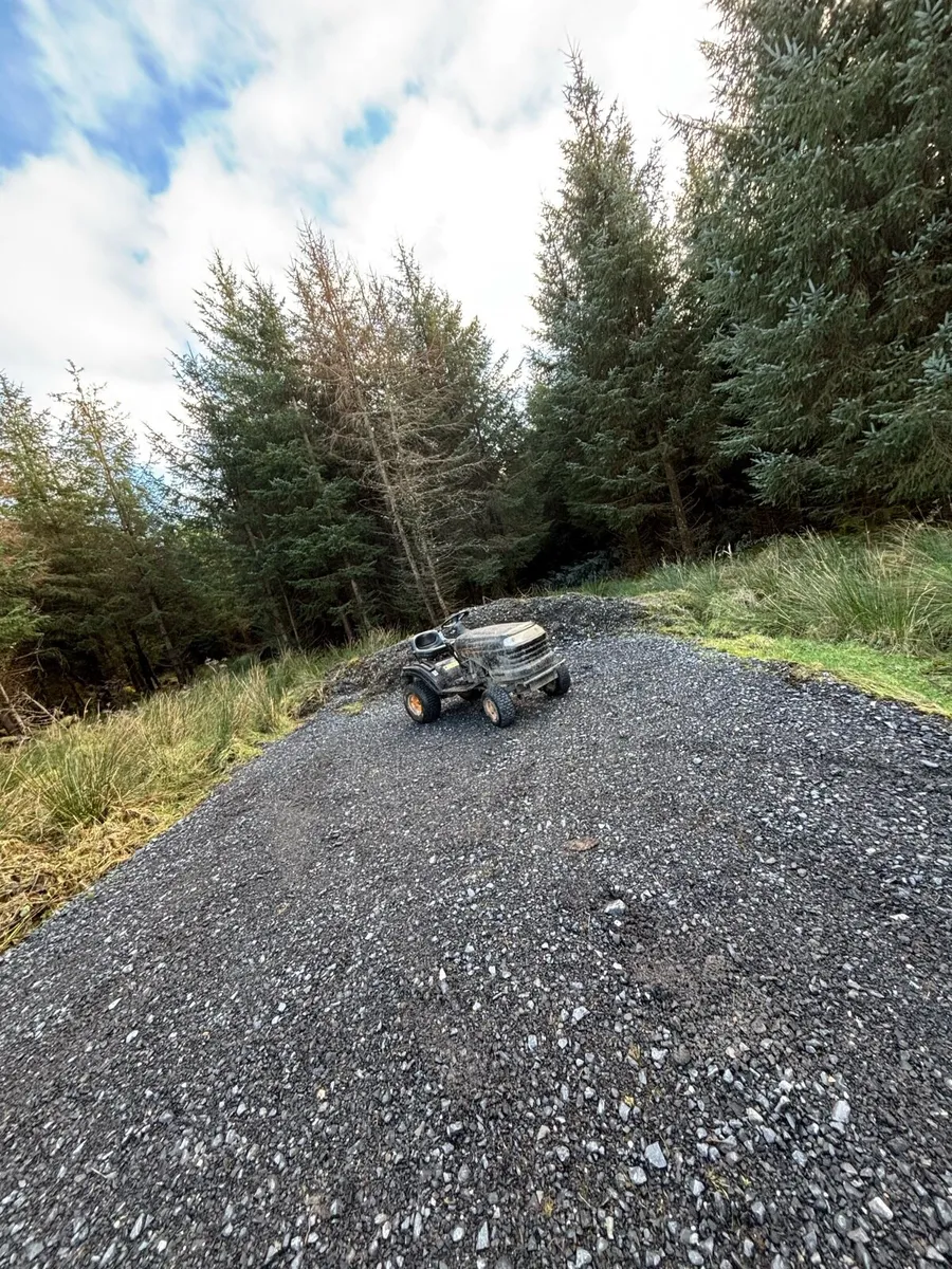 Mucholach lawnmower - Image 1